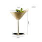 Stainless Steel Cocktail Martini Glass